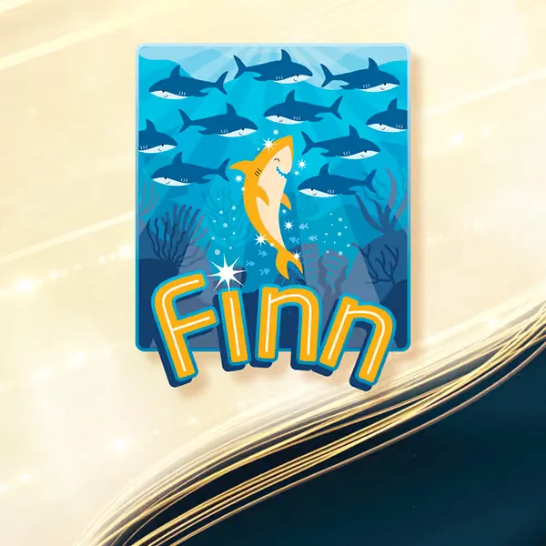 FINN